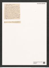 Fragilaria amphicephala Ehr. (de-Toni-Nr.: Genus 73, Species 2725) Zeichnungen Sammlung Grunow (NHMW-BOT-W0374042)